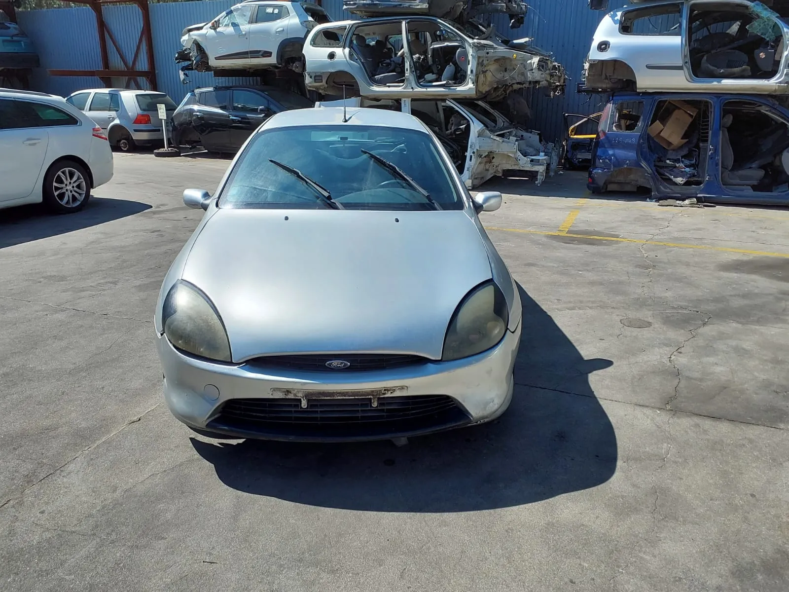 Puma  FORD Puma (EC_)